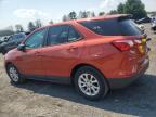 CHEVROLET EQUINOX LS photo