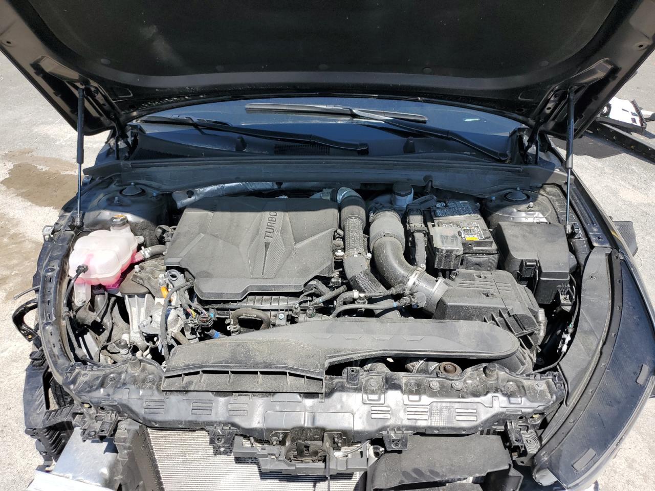 5XXG44J82RG245506 2024 Kia K5 Gt