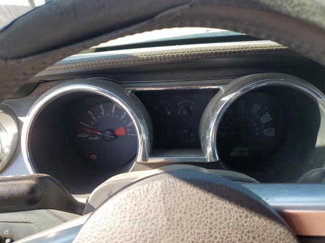 2007 Ford Mustang VIN: 1ZVHT80N175203364 Lot: 61526054