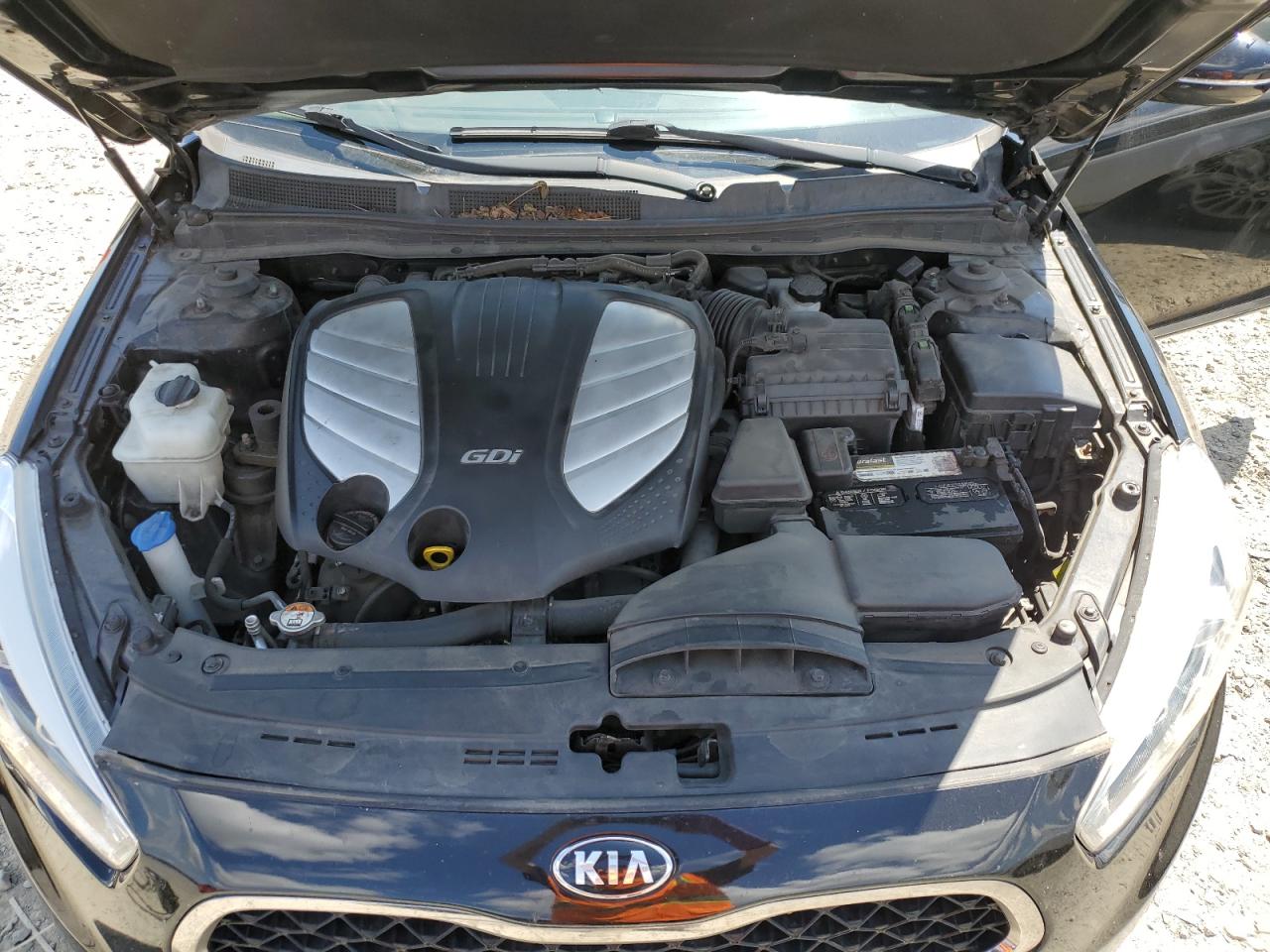 KNALN4D75F5176855 2015 Kia Cadenza Premium