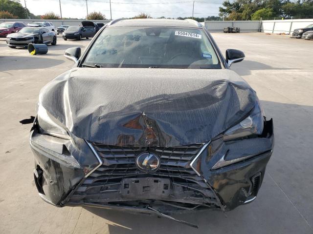 2020 LEXUS NX 300 - JTJDARBZ0L5009820