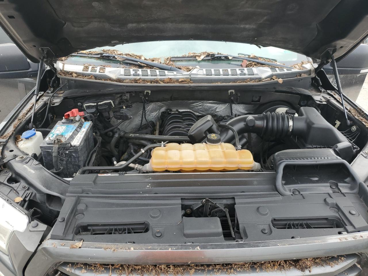 1FTEW1CF3GFA60033 2016 Ford F150 Supercrew