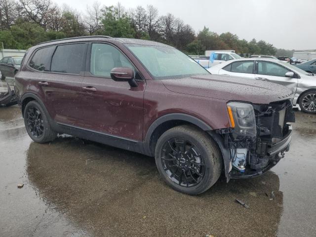 2022 Kia Telluride Sx VIN: 5XYP5DHC4NG240756 Lot: 61770604