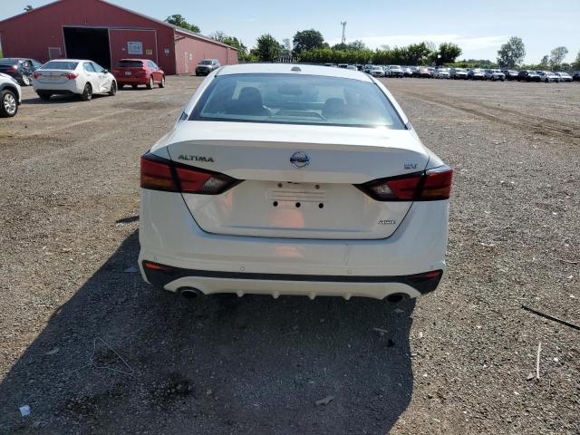 2019 NISSAN ALTIMA SV - 1N4BL4DW7KN319736