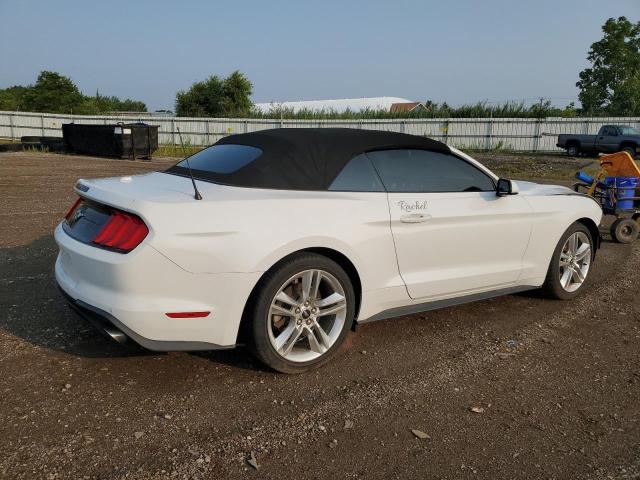 2021 FORD MUSTANG - 1FATP8UH5M5143371