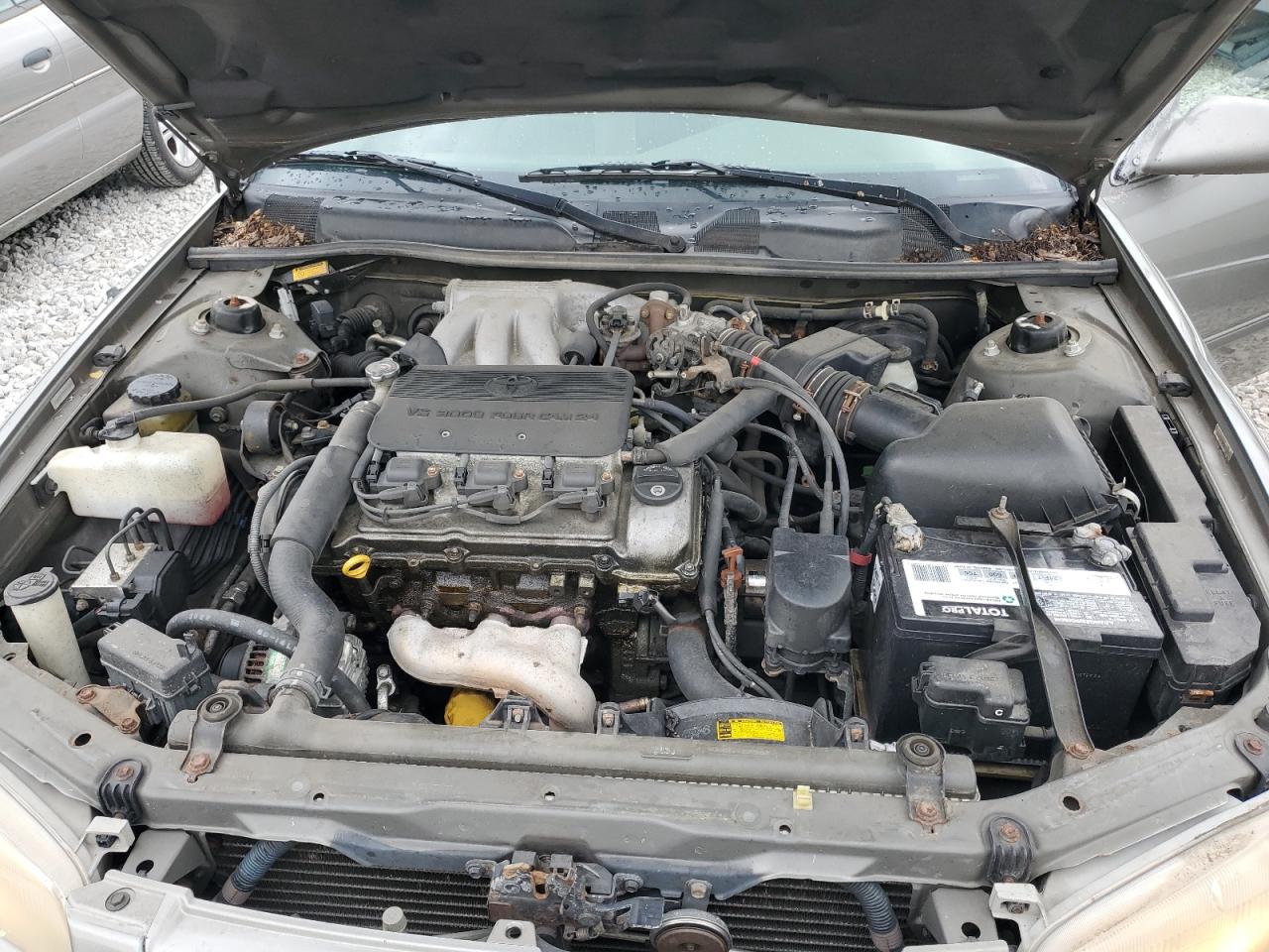 JT2BF22K8X0202184 1999 Toyota Camry Le