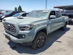 TOYOTA TACOMA DOU photo