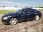 NISSAN MAXIMA S photo