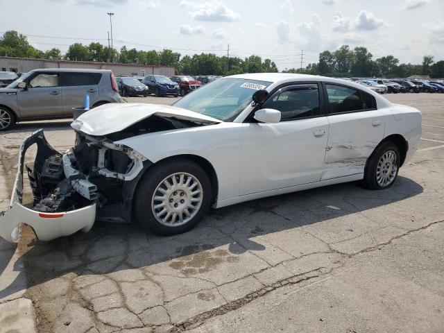 2019 DODGE CHARGER PO - 2C3CDXKT2KH537800