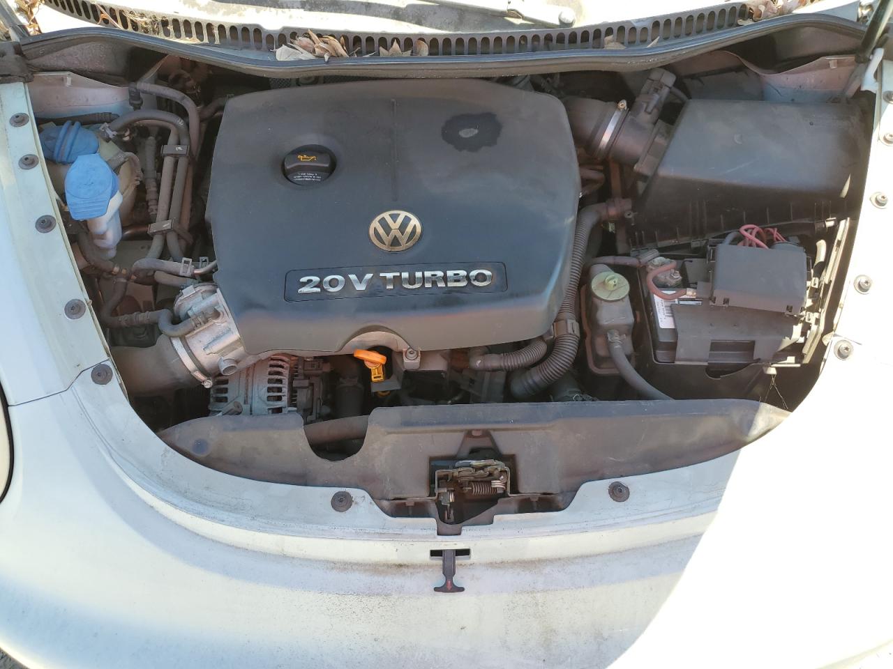 3VWCD31Y35M301029 2005 Volkswagen New Beetle Gls