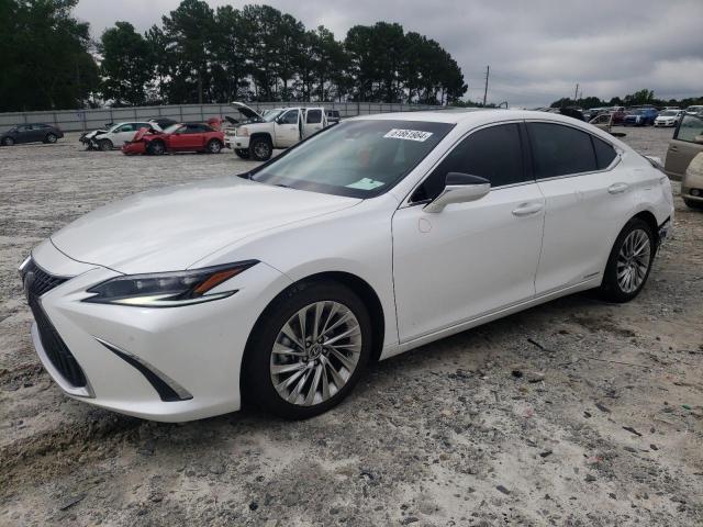 58AFA1C13NU013279 Lexus Es300 300h Base 2022