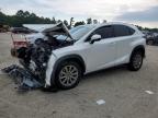 2021 LEXUS NX 300 BAS - JTJDARDZ6M5020254
