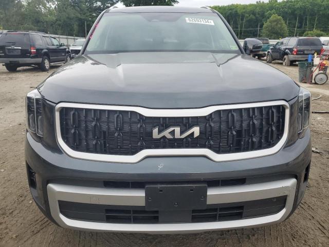 2024 Kia Telluride Ex VIN: 5XYP3DGC8RG507281 Lot: 62693134