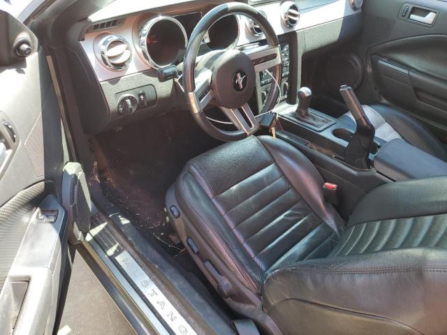 2008 Ford Mustang Gt VIN: 1ZVHT82H685173982 Lot: 62403324