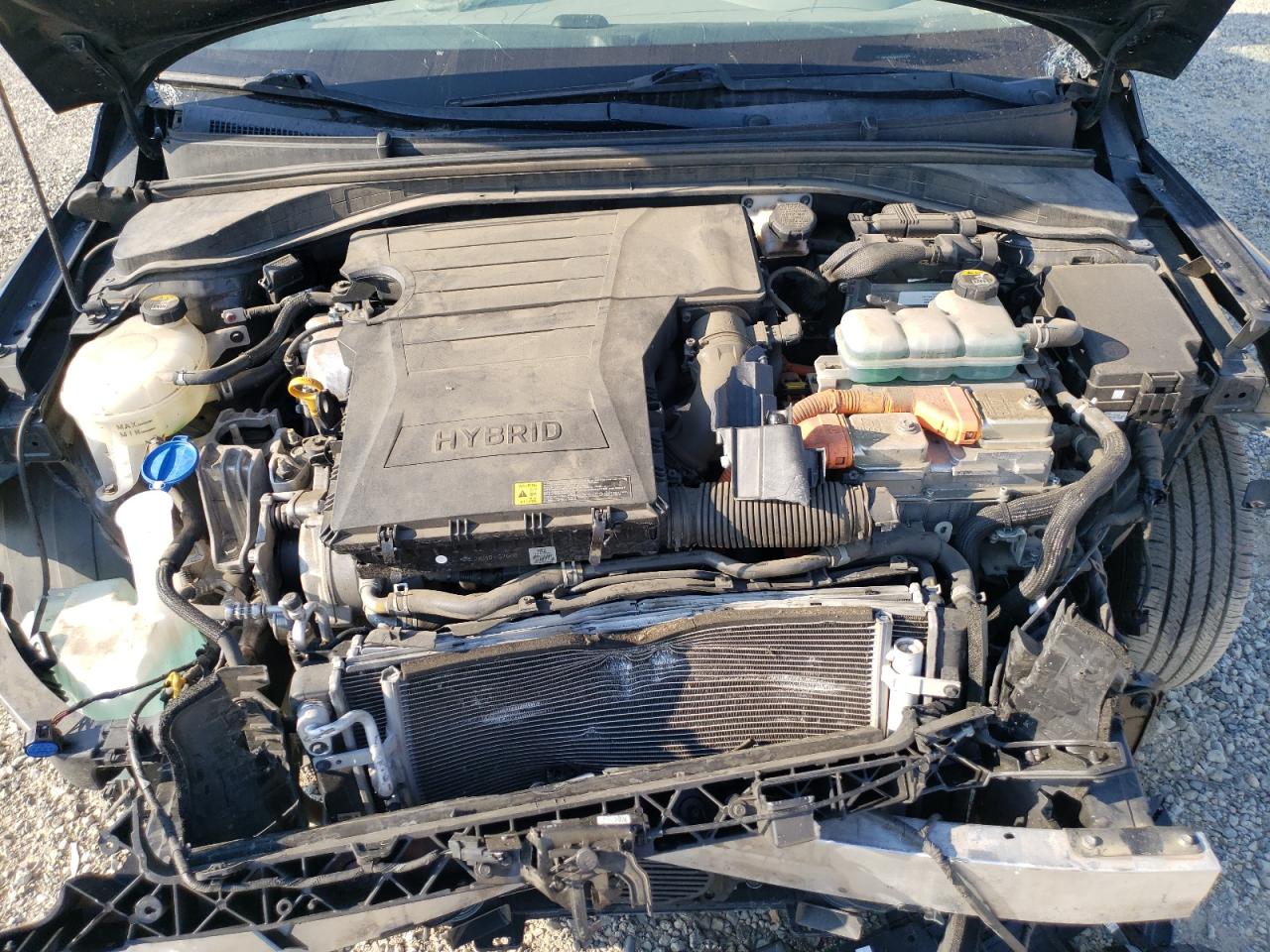 KMHC65LC8JU101596 2018 Hyundai Ioniq Blue