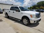 FORD F150 SUPER photo