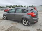 FORD FOCUS SE photo