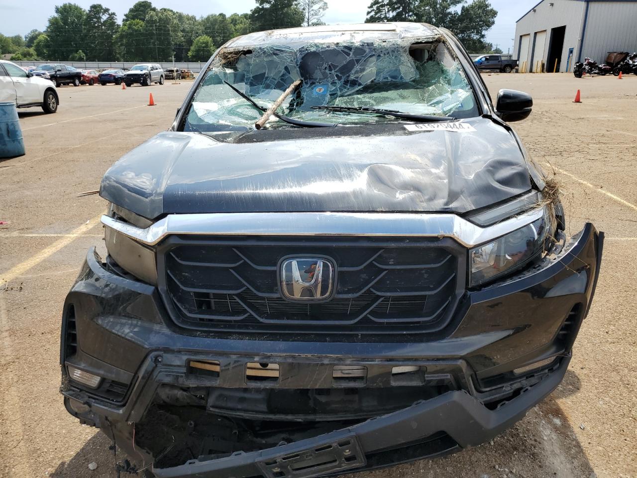 Lot #3009084354 2021 HONDA RIDGELINE