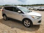 Lot #3024628602 2014 FORD ESCAPE SE