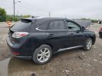 LEXUS RX 350 photo