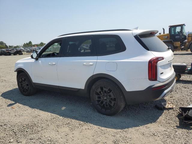 2022 KIA TELLURIDE - 5XYP5DHC2NG252548
