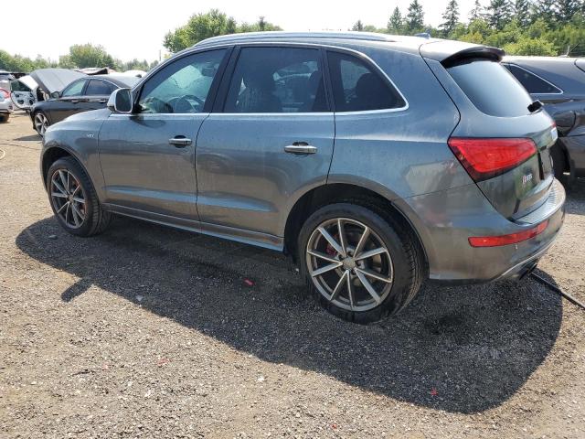 2016 AUDI SQ5 TECHNI - WA1LCAFP3GA081458