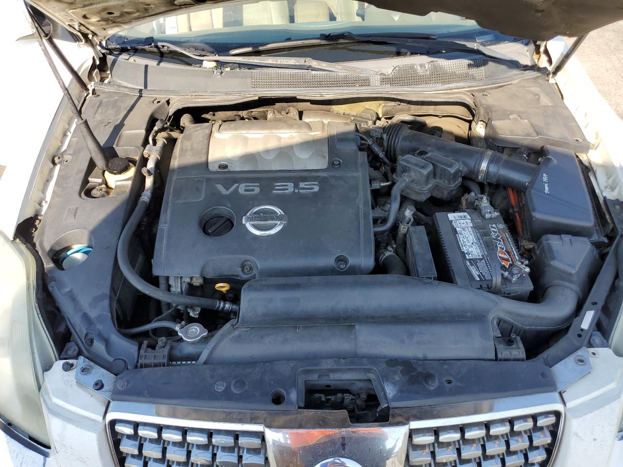 1N4BA41E76C837185 2006 Nissan Maxima Se