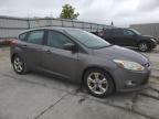 FORD FOCUS SE photo