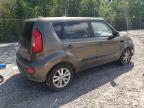 KIA SOUL + photo