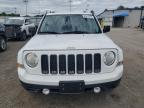 JEEP PATRIOT LA photo