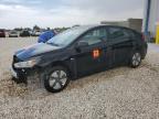 2019 HYUNDAI IONIQ BLUE - KMHC65LC9KU174591