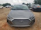 HYUNDAI ELANTRA SE photo