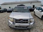 FORD ESCAPE XLT photo