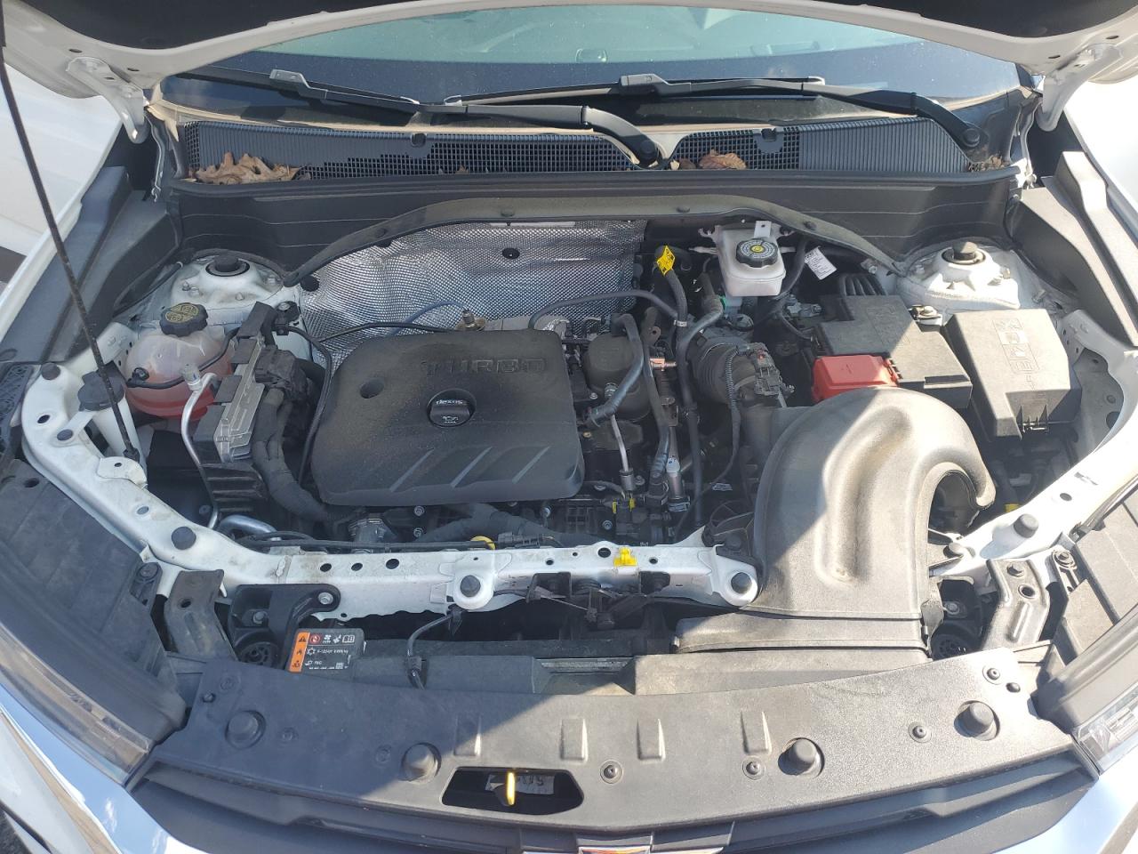 KL79MRSL1NB006275 2022 Chevrolet Trailblazer Lt