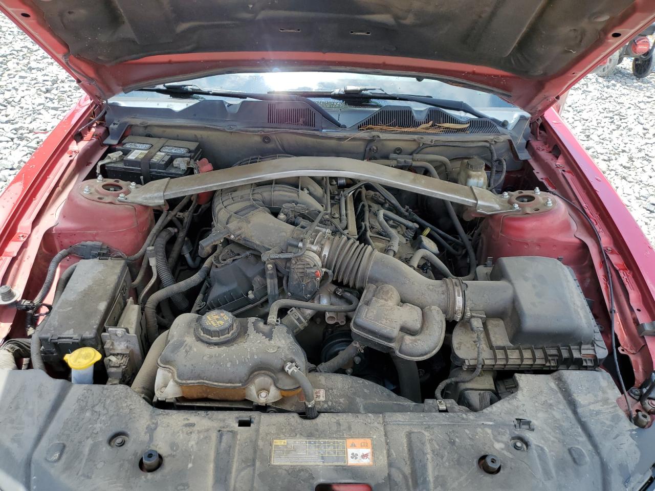 1ZVBP8EM8D5226081 2013 Ford Mustang