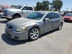 NISSAN MAXIMA SE photo