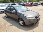 KIA FORTE EX photo