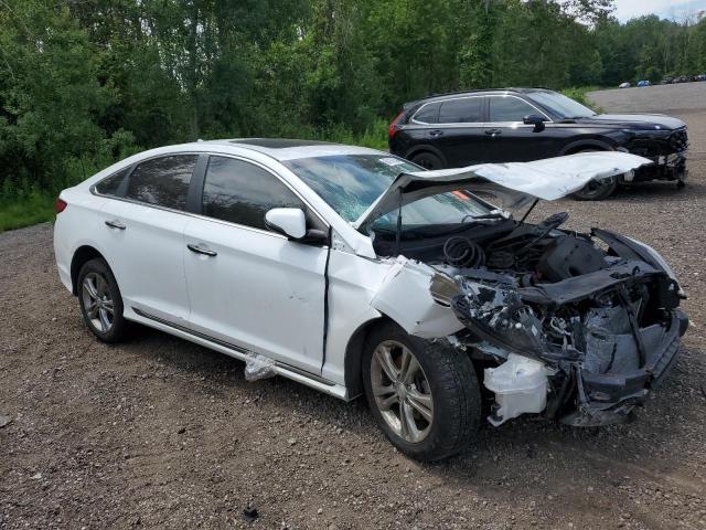 2019 Hyundai Sonata Limited VIN: 5NPE34AF0KH789036 Lot: 60116554