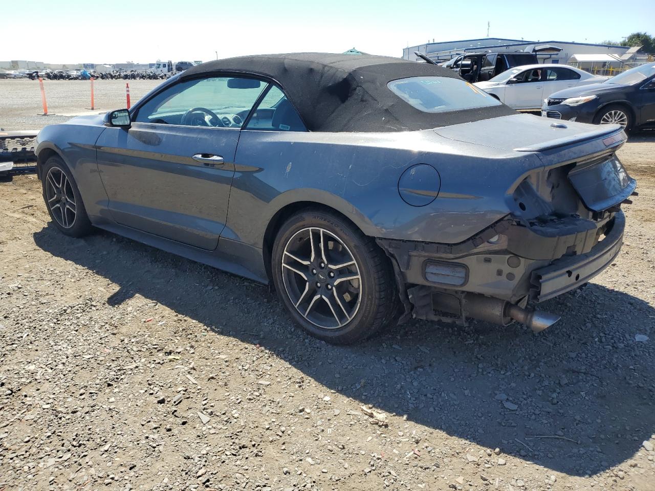 2019 Ford Mustang vin: 1FATP8UH7K5131302