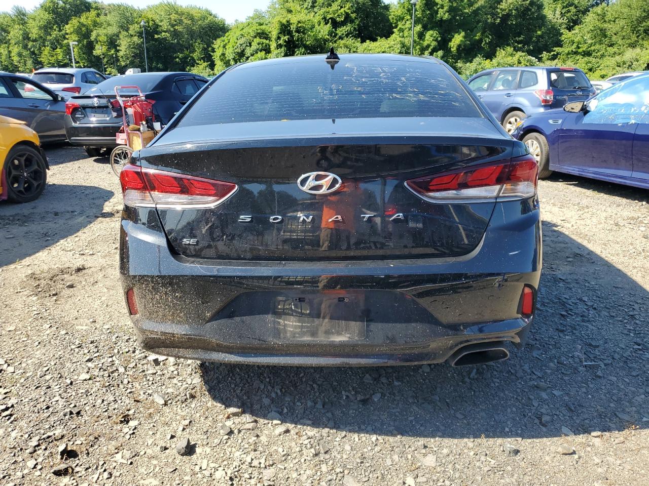 5NPE24AF4KH728419 2019 Hyundai Sonata Se