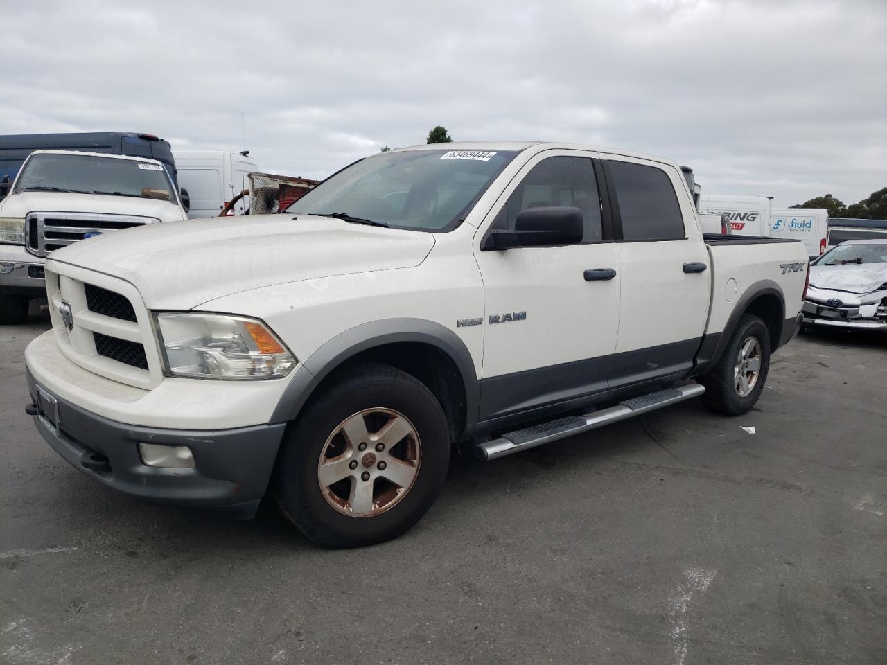 1D3HB13T09S809046 2009 Dodge Ram 1500 1D3HB13T09S809046 2009 Dodge Ram 1500