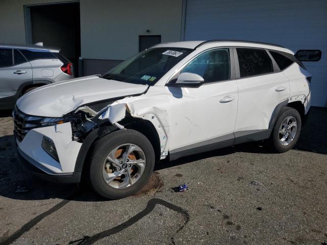 5NMJBCAE9PH183516 2023 HYUNDAI TUCSON - Image 1