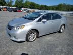 LEXUS HS 250H photo