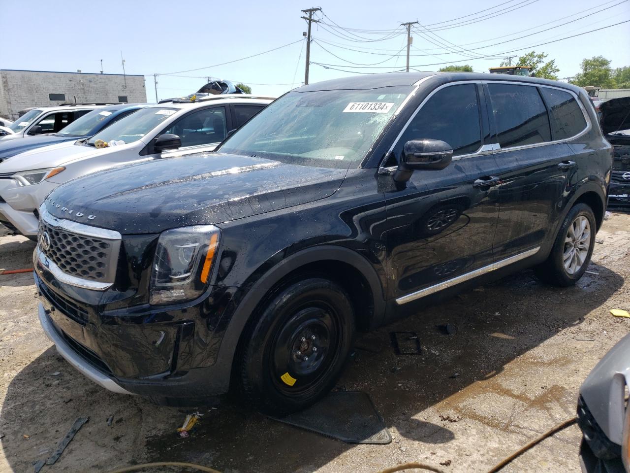 Lot #2996616581 2021 KIA TELLURIDE