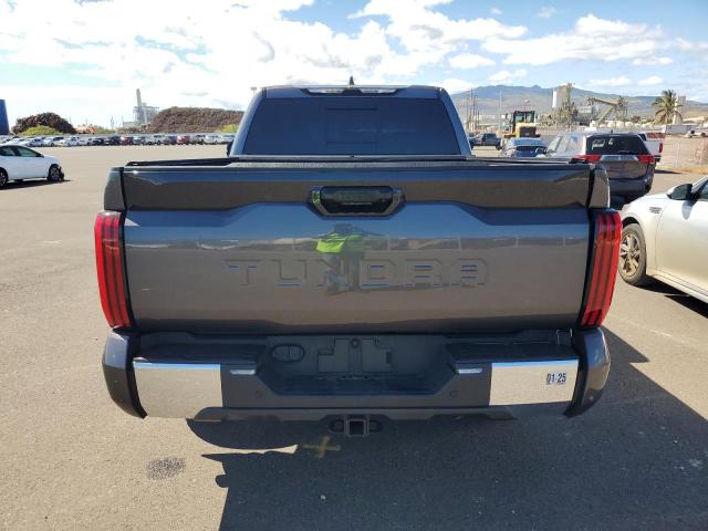 2023 TOYOTA TUNDRA DOU - 5TFLA5AA3PX022431