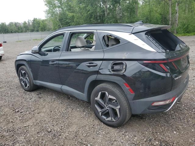 2023 HYUNDAI TUCSON LUX - KM8JCCA10PU117404