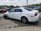 CHEVROLET MALIBU 1LT photo