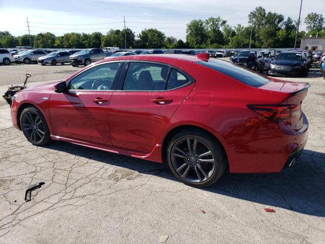 2019 Acura TLX - Image 2