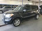 KIA SOUL + photo