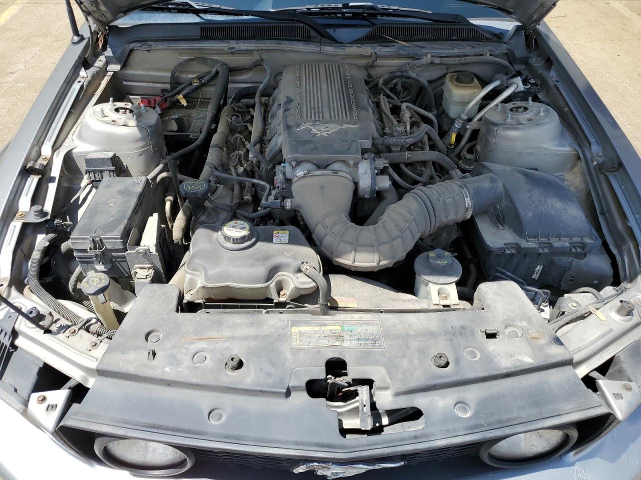 1ZVHT82H685173982 2008 Ford Mustang Gt